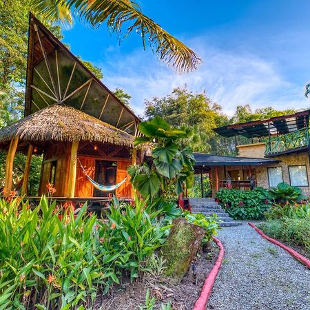 Tree House Beachfront Lodge Puerto Viejo de Talamanca Exterior foto