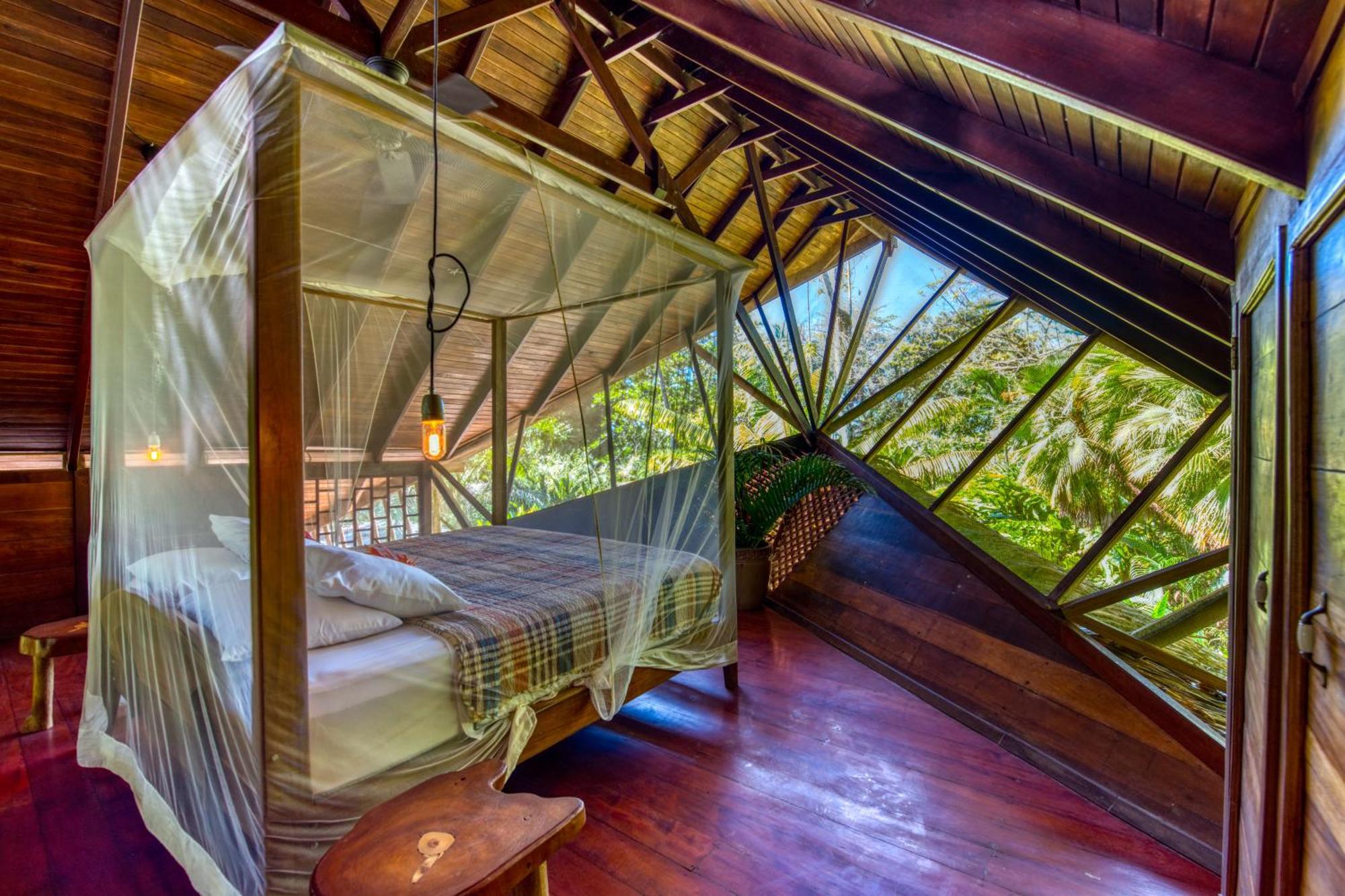 Tree House Beachfront Lodge Puerto Viejo de Talamanca Exterior foto
