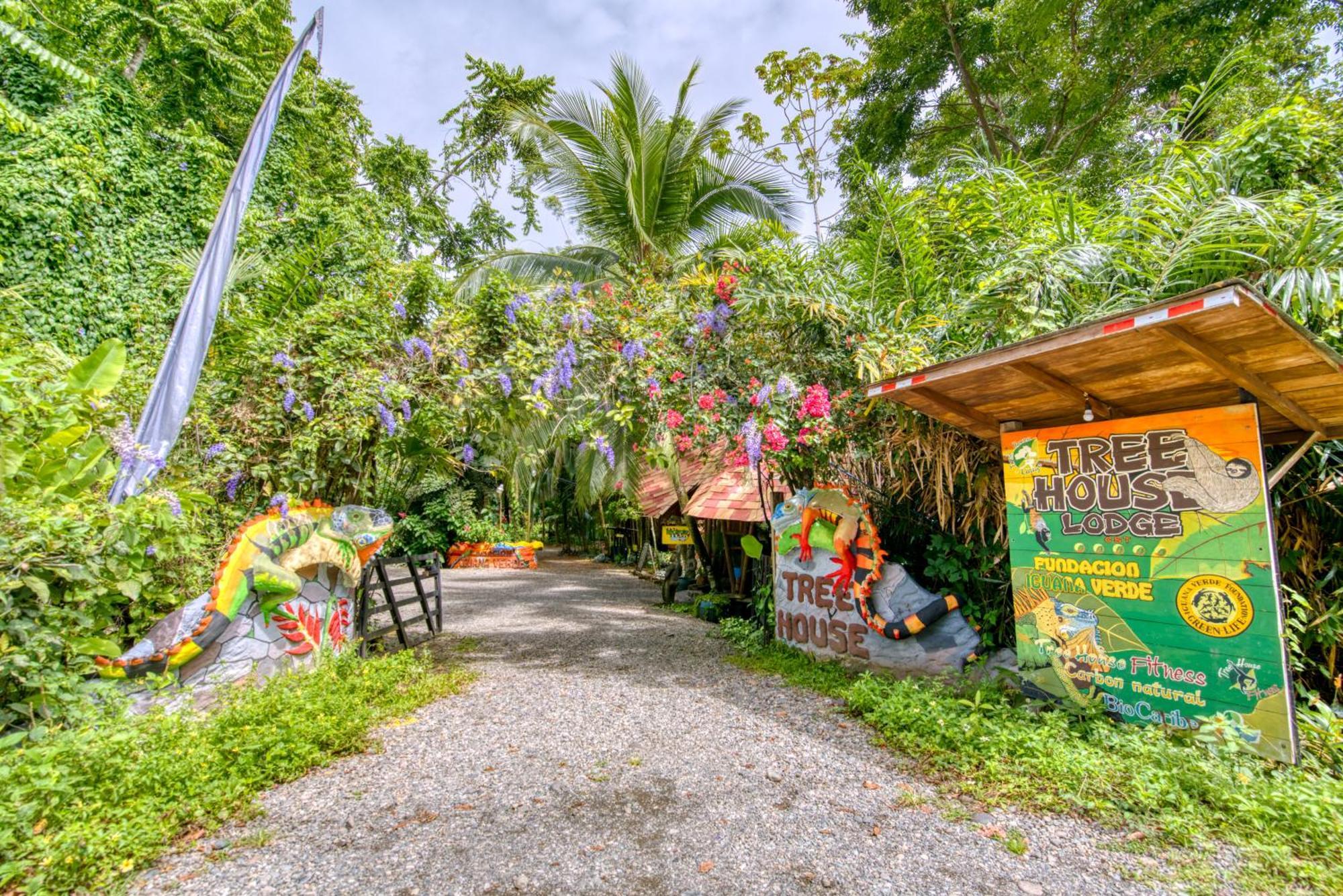 Tree House Beachfront Lodge Puerto Viejo de Talamanca Exterior foto