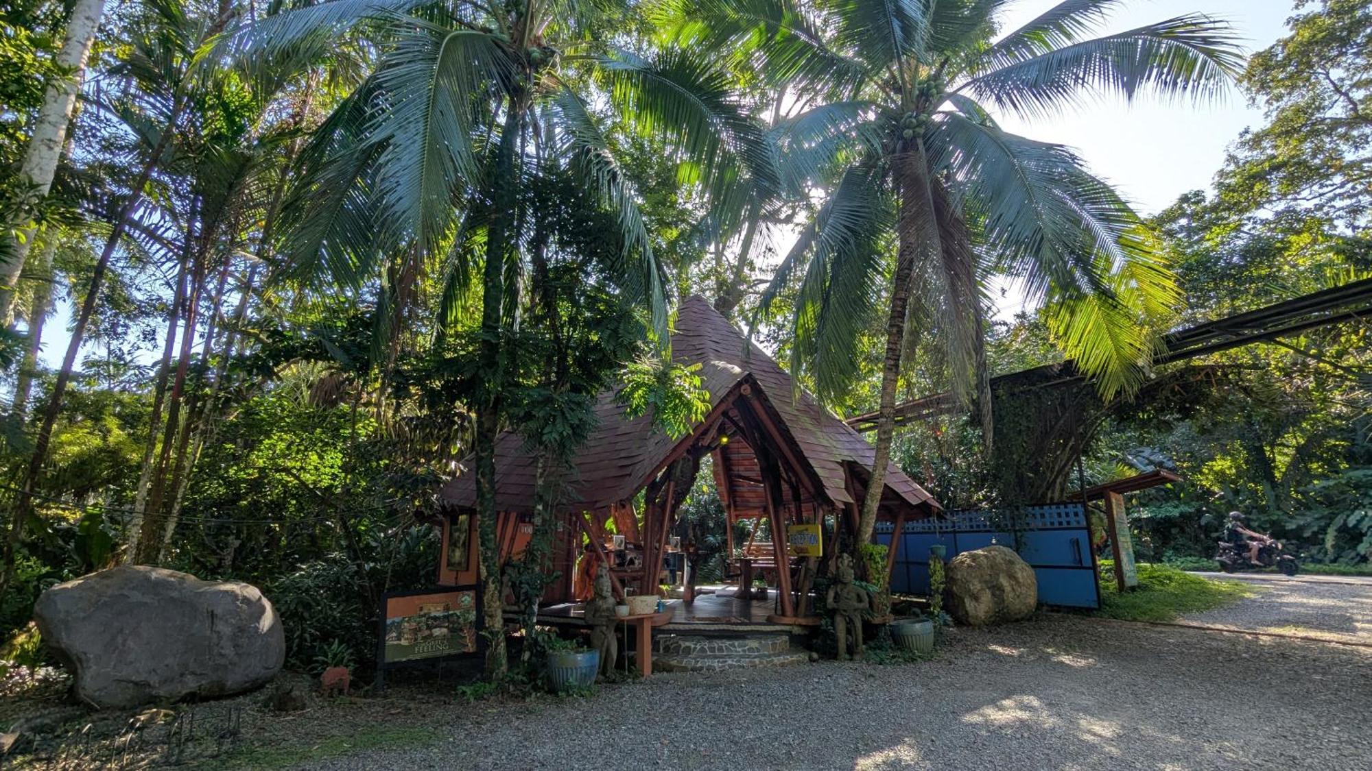 Tree House Beachfront Lodge Puerto Viejo de Talamanca Exterior foto